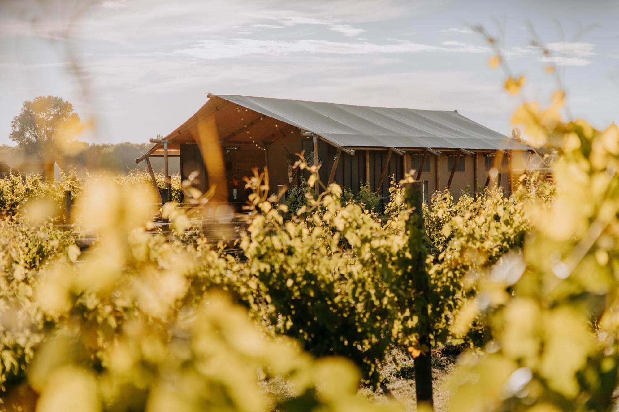 Villas & Vines Glamping Hastings Dış mekan fotoğraf