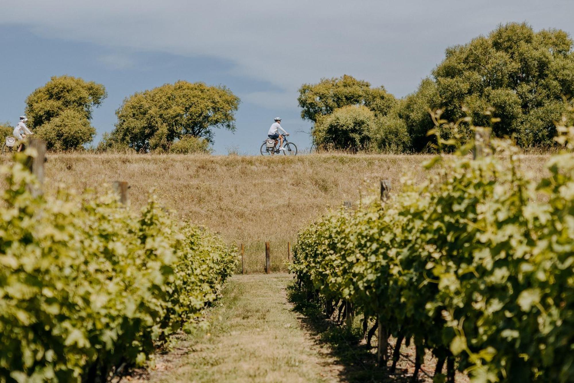Villas & Vines Glamping Hastings Dış mekan fotoğraf